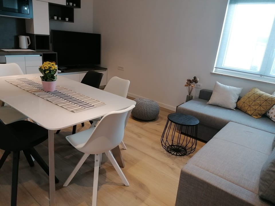 Otvoreni prostor dnevnog boravka i blagovaonice s TV-om i sofom — Eva Apartman, Kućište