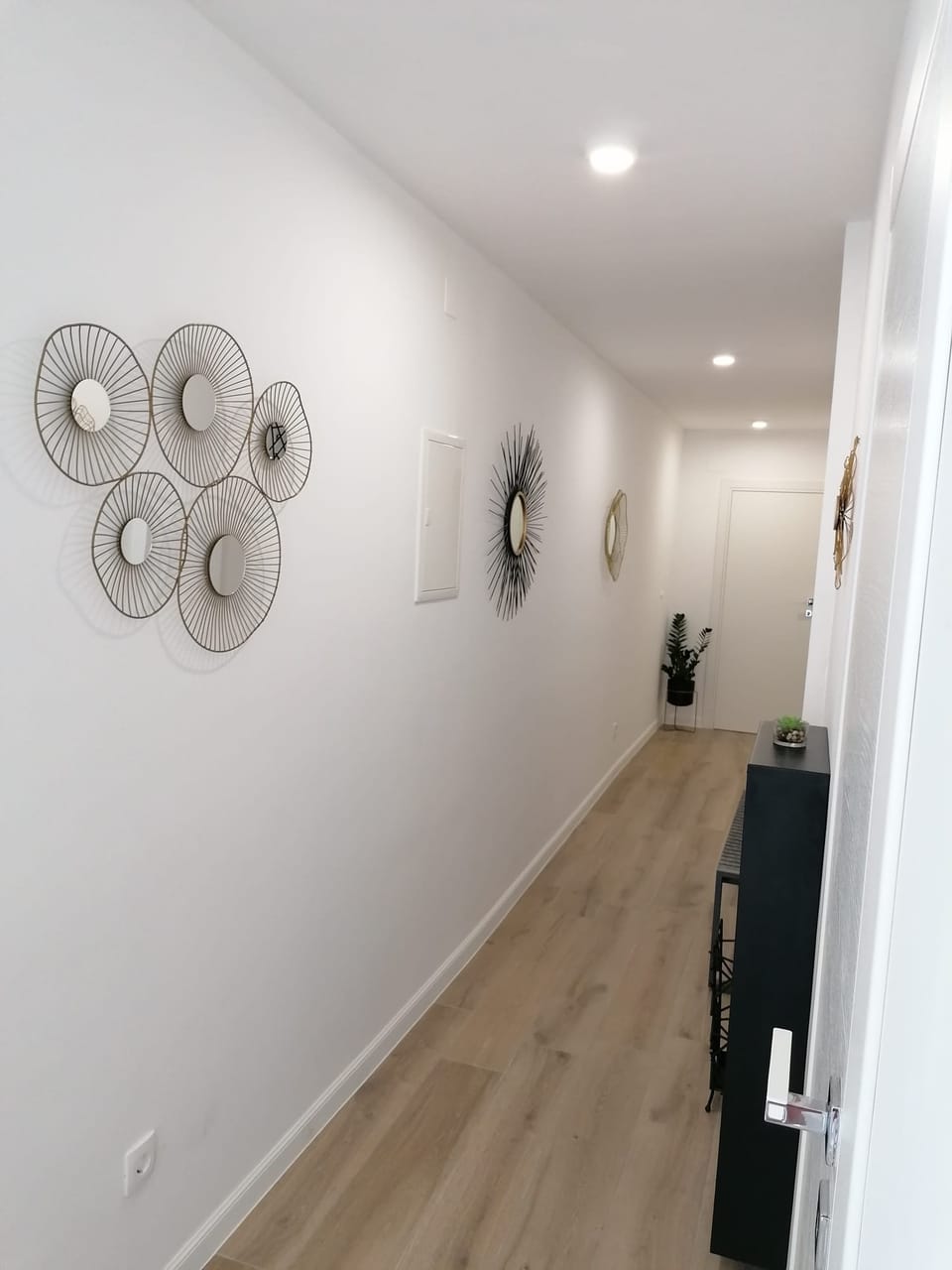 Hodnik s ukrasnim zidnim krugovima i drvenim podom — Eva Apartman, Kućište