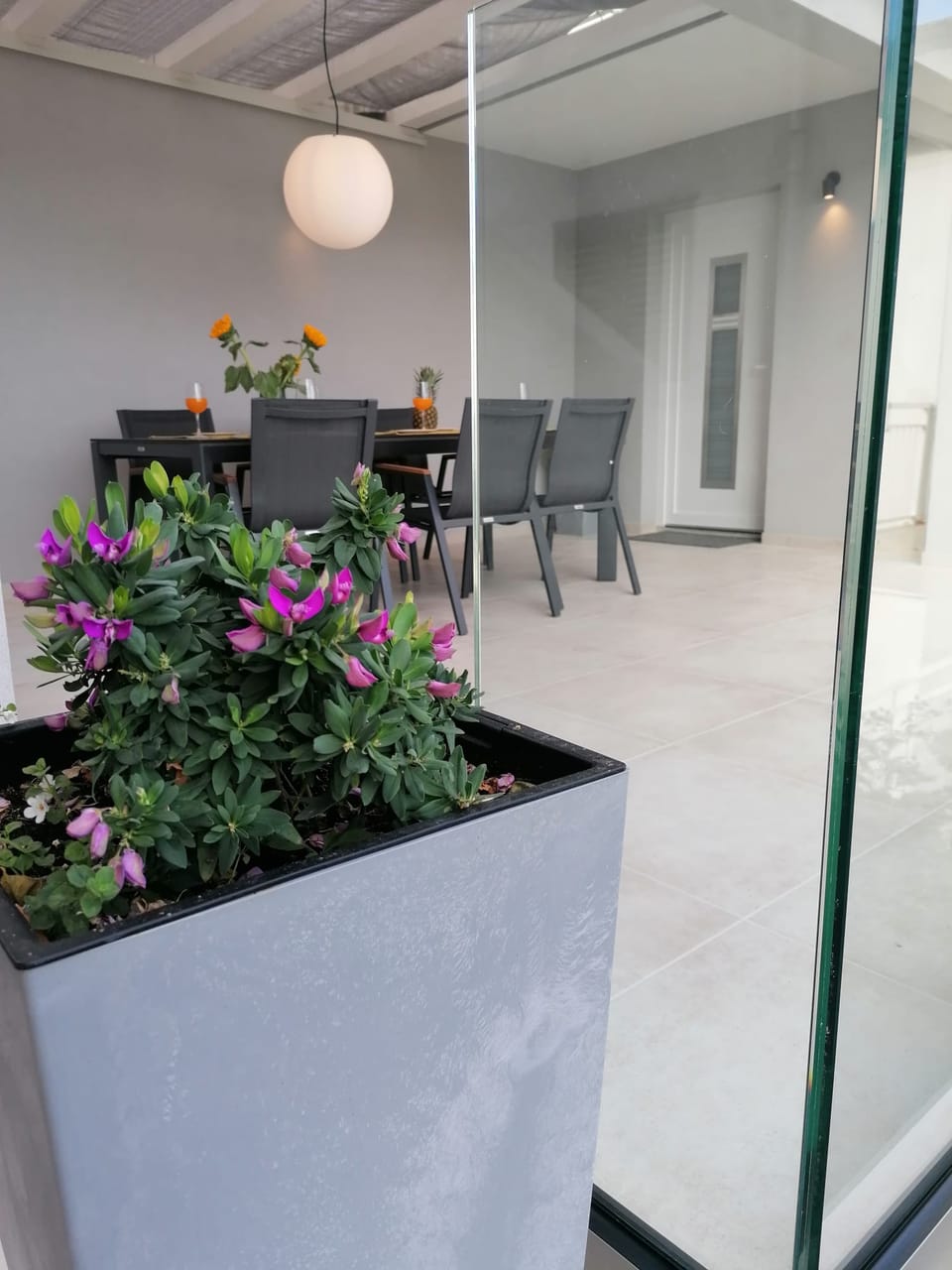 Modern kitchen